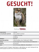Tinka – vermisst seit 05.05.2015 in Eichenau