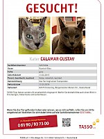 Kater Calamar Gustav