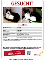 Kater Shell