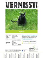 Kater Pablo vermisst seit 13.12.2025 Germering