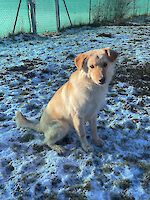 Elly ( geb. 02.03.2024 ) sucht ihr Traumzuhause!