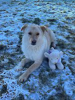 Elly ( geb. 02.03.2024 ) sucht ihr Traumzuhause!