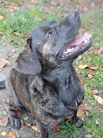 Paul, ca. 5 Jahre alt